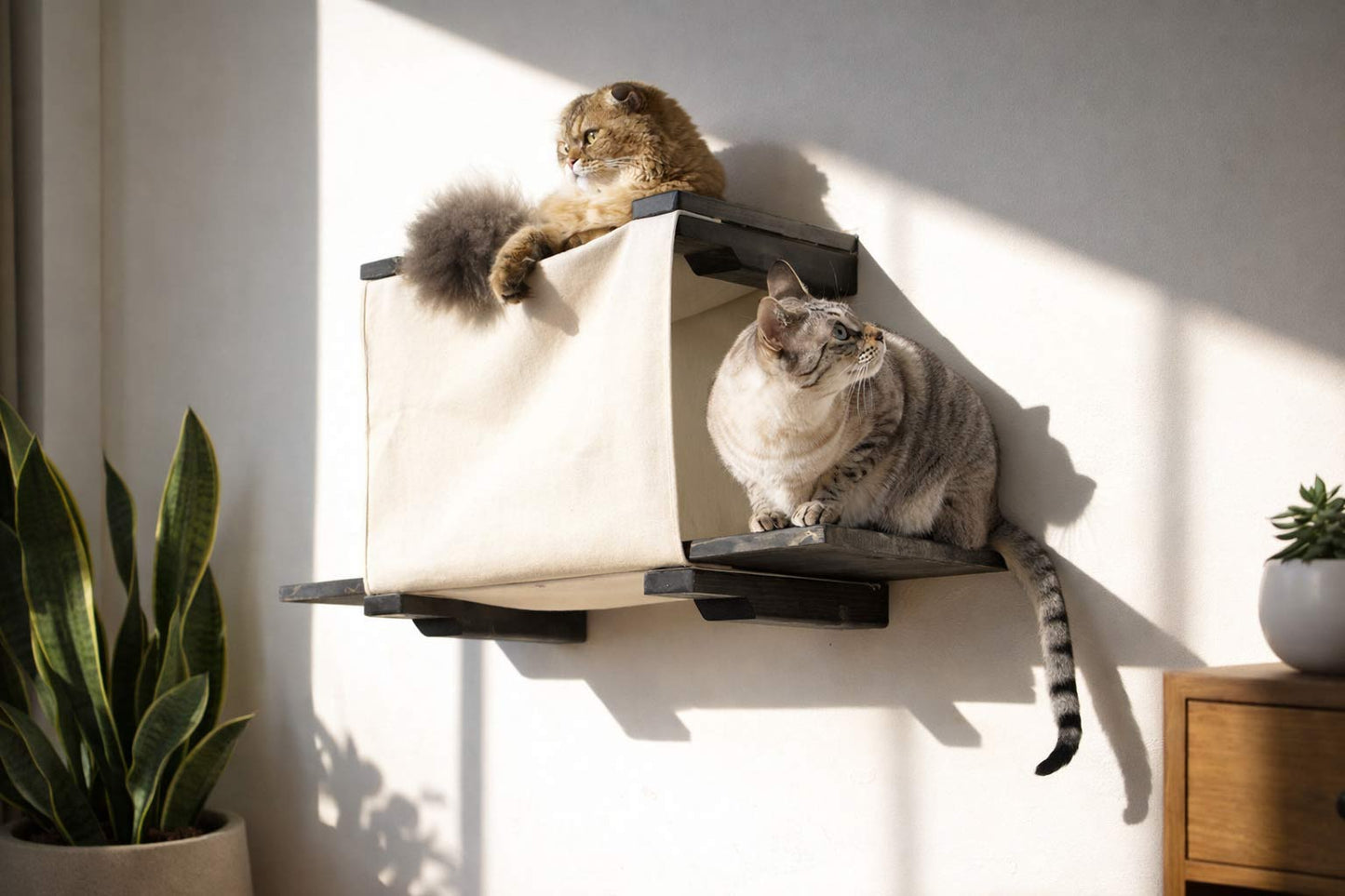 Cat Cubby for Wall - Covered Cat Bed Catastrophic Creations