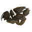 Undique Quail Wings for Dog Training, Small (10 Count) Default Title Pet Quailz.com by Undique LLC
