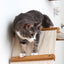 The Raceway - Wall Mounted Cat Hammock Cat Hammock Catastrophic Creations