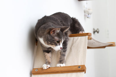 The Raceway - Wall Mounted Cat Hammock Cat Hammock Catastrophic Creations