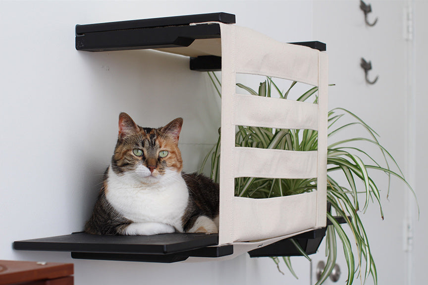 Deluxe Cat Cubby Bed Catastrophic Creations