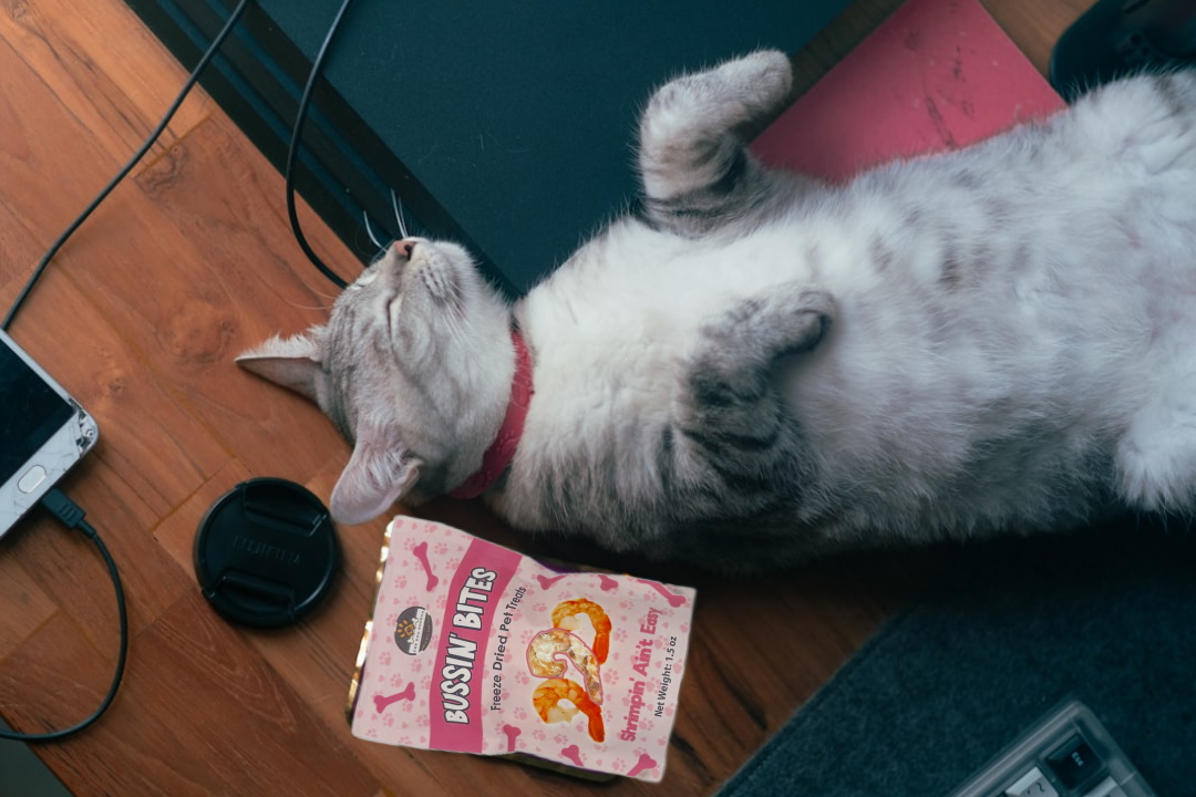 Single Ingredient, High Value Freeze-Dried Training Treats for Dogs & Cats - Shrimp The Dog Bodega