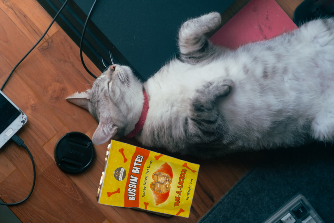 Single Ingredient, High Value Freeze-Dried Training Treats for Dogs & Cats - Sweet Potato The Dog Bodega