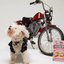 Single Ingredient, High Value Freeze-Dried Training Treats for Dogs & Cats - Shrimp The Dog Bodega