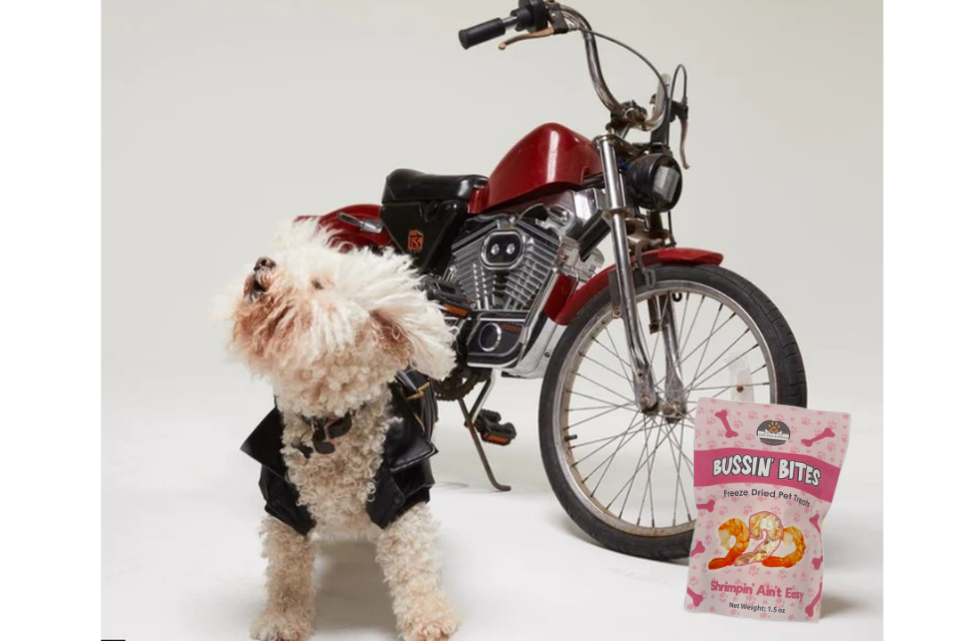 Single Ingredient, High Value Freeze-Dried Training Treats for Dogs & Cats - Shrimp The Dog Bodega