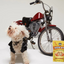 Single Ingredient, High Value Freeze-Dried Training Treats for Dogs & Cats - Sweet Potato The Dog Bodega