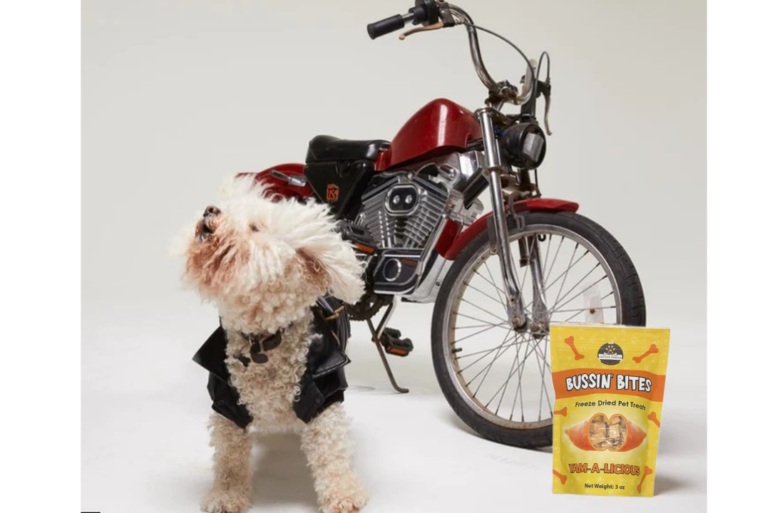 Single Ingredient, High Value Freeze-Dried Training Treats for Dogs & Cats - Sweet Potato The Dog Bodega