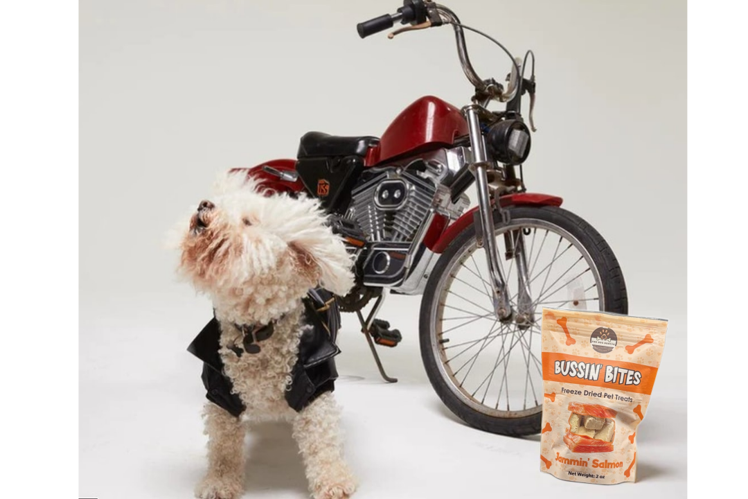 Single Ingredient, High Value Freeze-Dried Training Treats for Dogs & Cats - Salmon The Dog Bodega