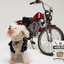 Single Ingredient, High Value Freeze-Dried Training Treats for Dogs & Cats - Beef Liver The Dog Bodega