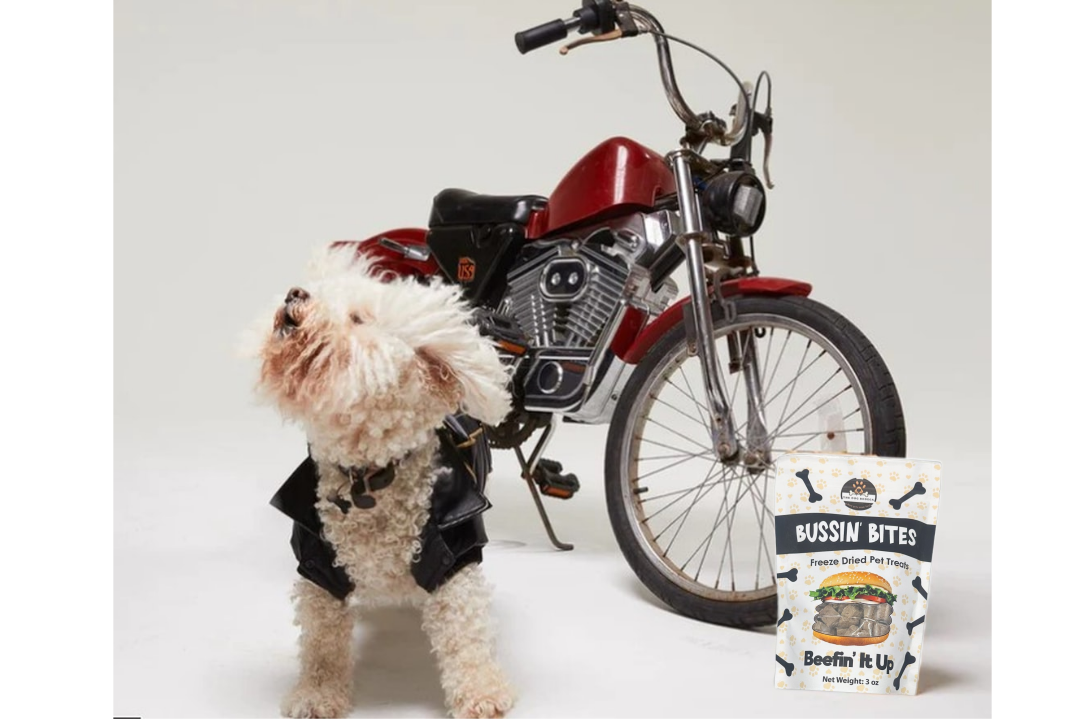 Single Ingredient, High Value Freeze-Dried Training Treats for Dogs & Cats - Beef Liver The Dog Bodega