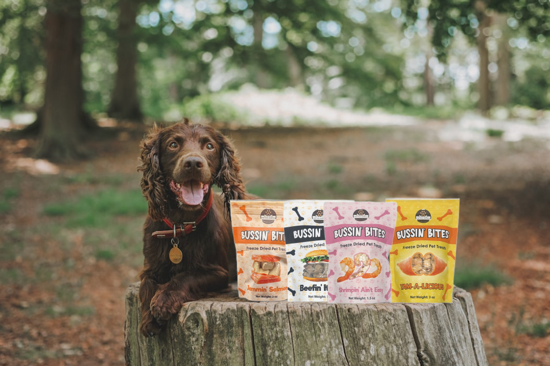 Single Ingredient, High Value Freeze-Dried Training Treats for Dogs & Cats - Beef Liver The Dog Bodega