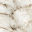 PupPouf™ Faux Fur Donut Dog Bed - White with Brown Accents Dog Beds Paw