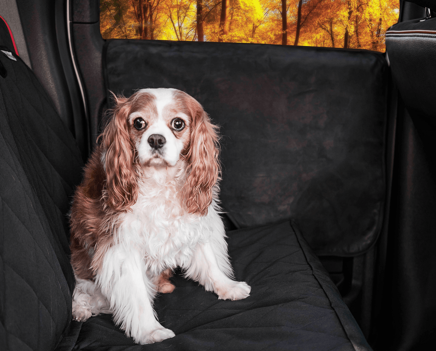 PupProtector™ Car Door Guard (2 pack) Universally Compatible Car Door Guard Vehicle Pet Barriers Paw.com