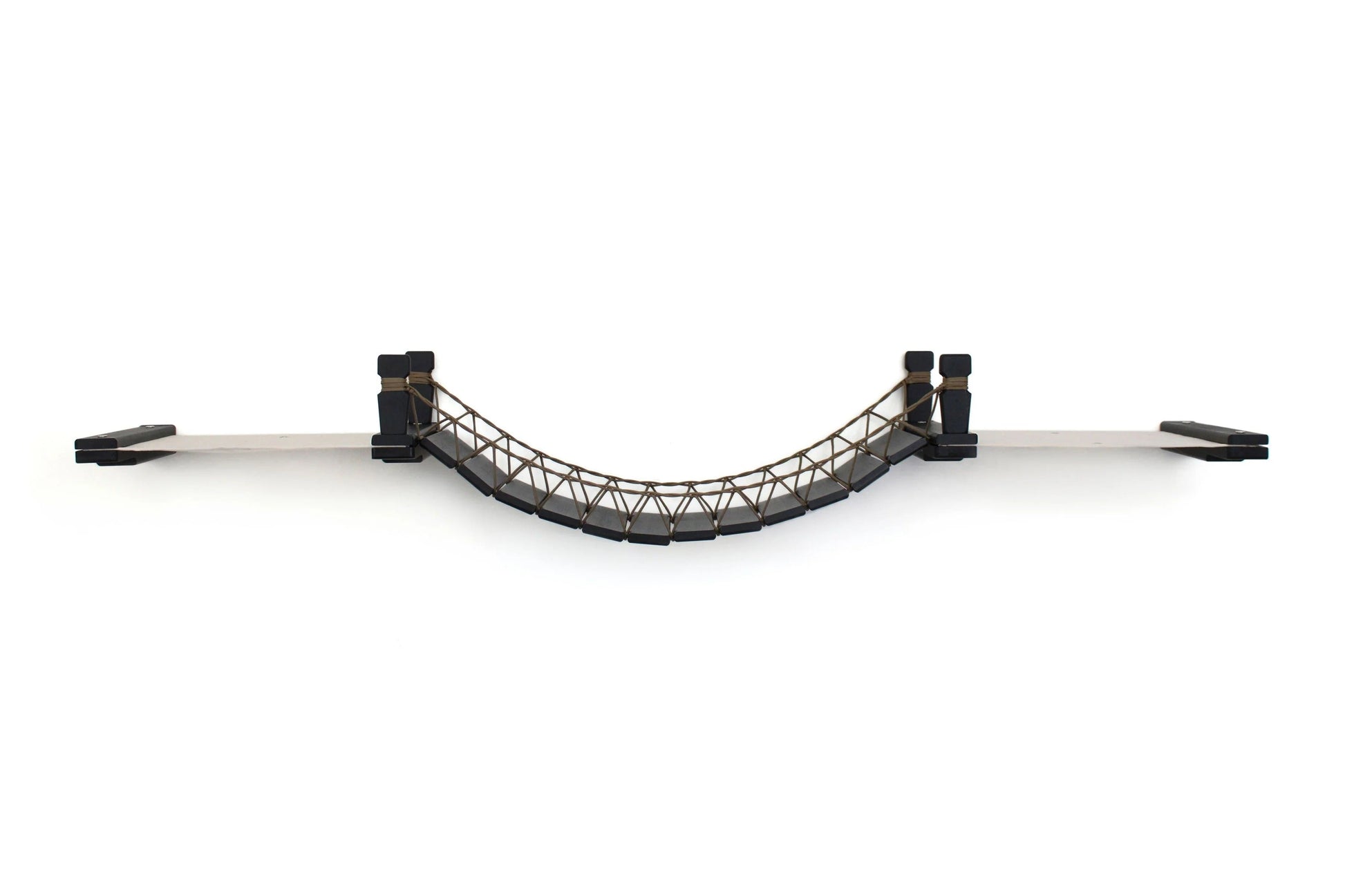 Double Cat Hammock and Climbing Bridge Combo Onyx Bamboo Natural Canvas 34" Cat Bridge Catastrophic Creations