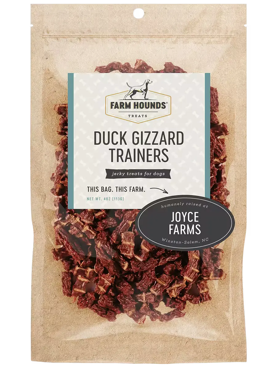 Duck Gizzard Trainers Trainers Farm Hounds
