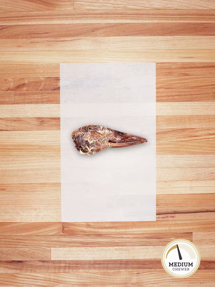 Duck Head Chews Farm Hounds