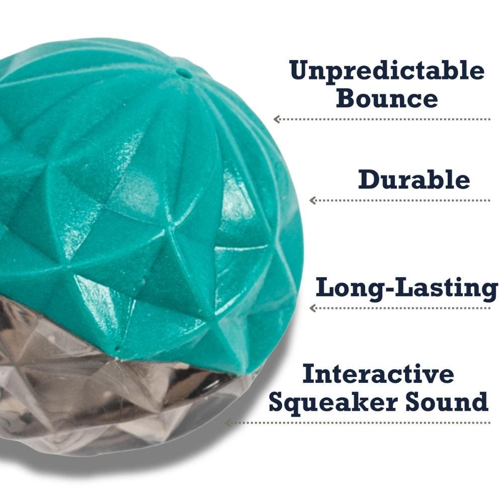 Country Living Geometric Textured Ball Dog Chew Toy, Interactive Rubber Toy for Mental Stimulation – Small Chew Toys American Pet Supplies