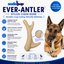 Ever Antler Nylon Chew Bone | Elk Antler Shaped Dog Toy for Aggressive Chewers | SodaPup Nylon Dog Toys SodaPup/True Dogs, LLC