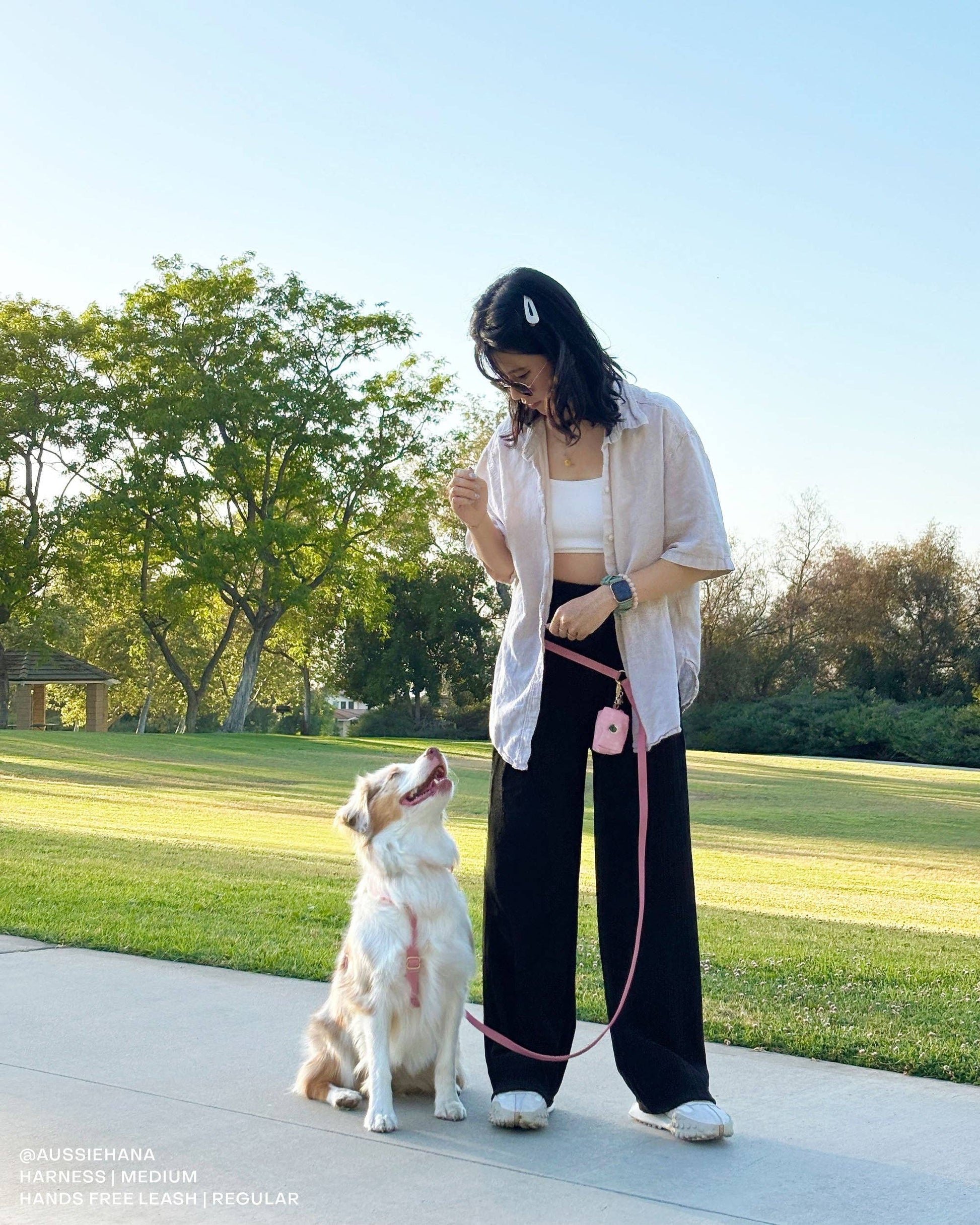 Coquette Pink Waste Bag Holder Pet Waste Bag Dispenser SUNNY TAILS