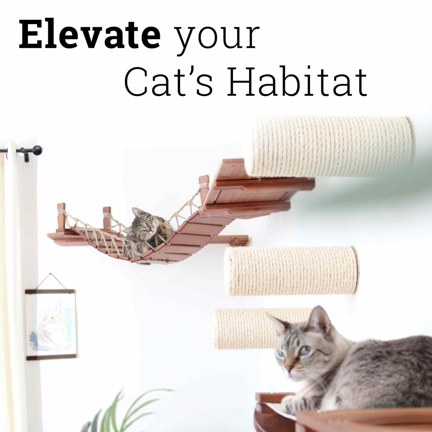 Corner Cat Shelf Bridge Cat Bridge Catastrophic Creations