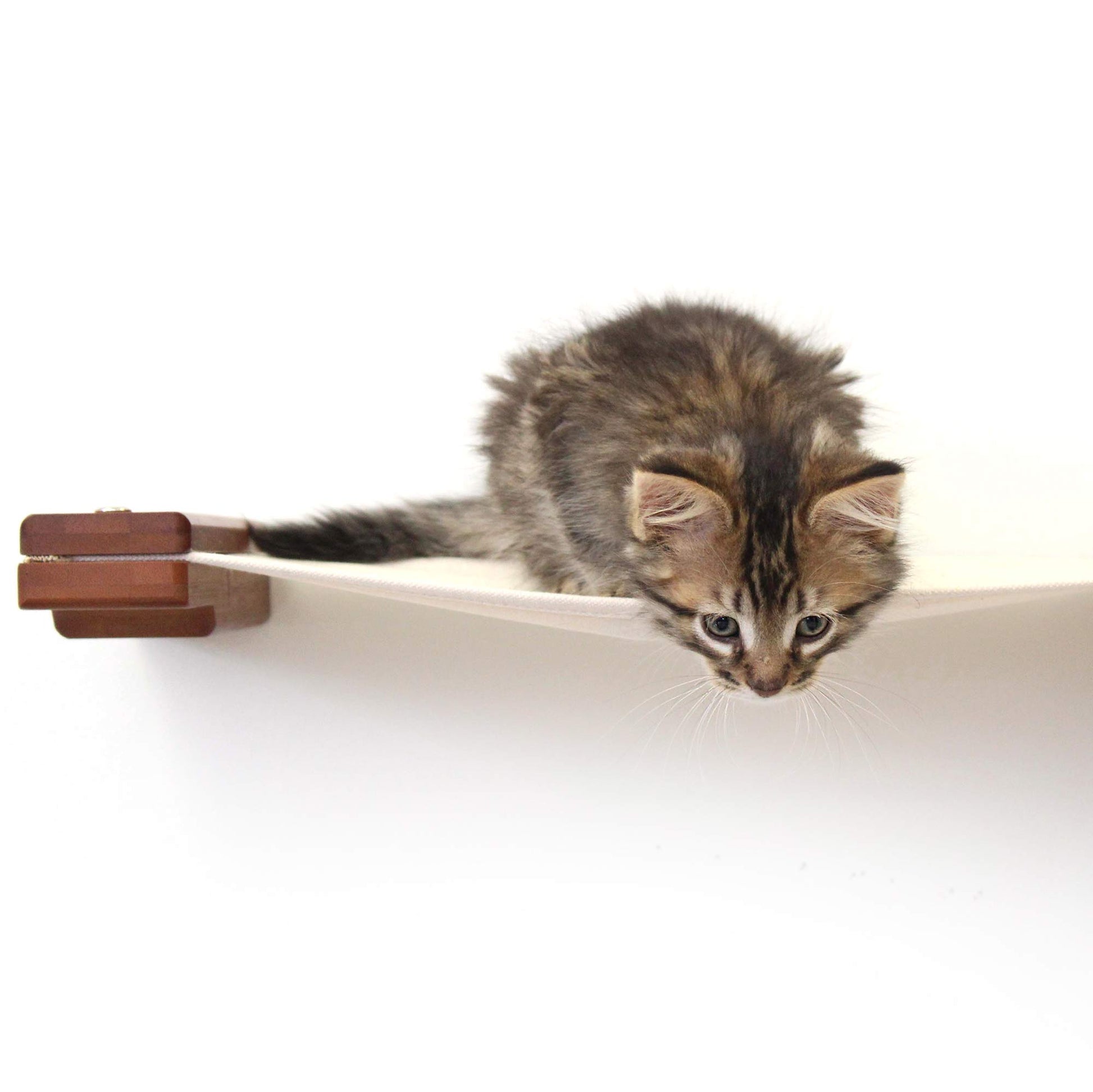 Hanging Cat Bed Hammock Cat Hammock Catastrophic Creations