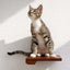Cat Climbing Shelf English Chestnut Bamboo None Cat shelves/bed Catastrophic Creations