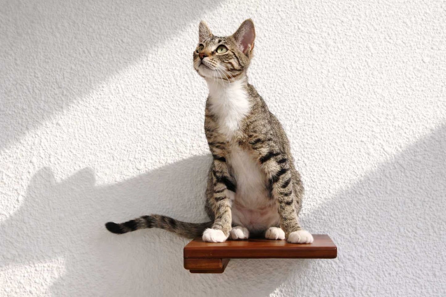 Cat Climbing Shelf English Chestnut Bamboo None Cat shelves/bed Catastrophic Creations