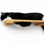 Wall Mounted Cat Shelf Cat shelves/bed Catastrophic Creations