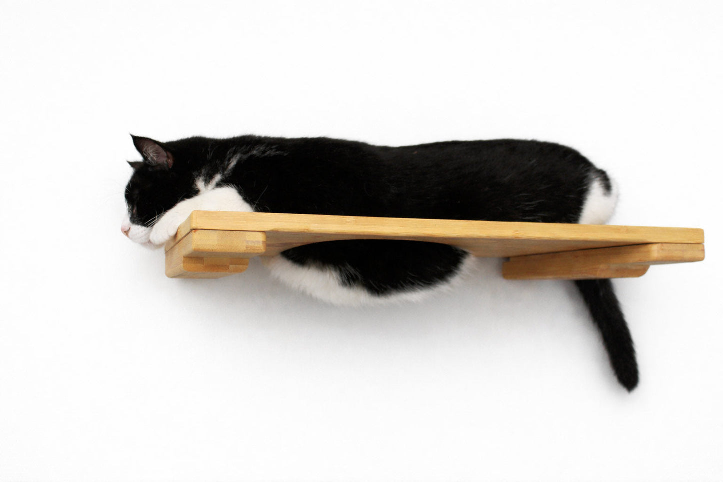 Wall Mounted Cat Shelf Cat shelves/bed Catastrophic Creations
