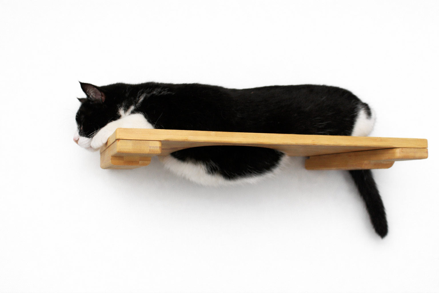 Wall Mounted Cat Shelf Cat shelves/bed Catastrophic Creations