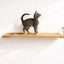 Wall Mounted Cat Feeding Shelf Elevated Onyx Bamboo 18" Solid Shelf Cat shelves/bed Catastrophic Creations
