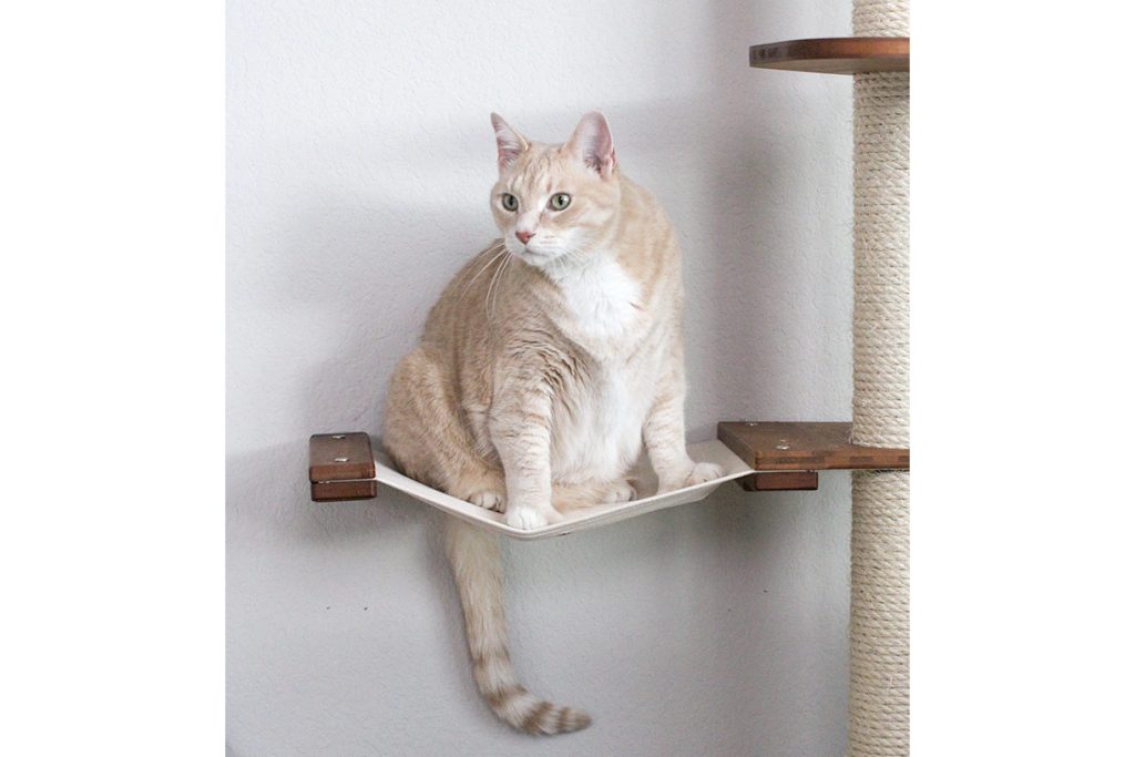 The Expedition - Cat Jungle Gym Wall System Cat Condo Catastrophic Creations