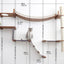 The Expedition - Cat Jungle Gym Wall System Cat Condo Catastrophic Creations