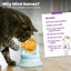 Catstages 2-in-1 Topper Spin Fish Treat Cat Toy Pet Palette Distribution