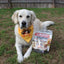 Turkey Feast Chips | Thanksgiving Turkey Dog Treats Chip Farm To Pet