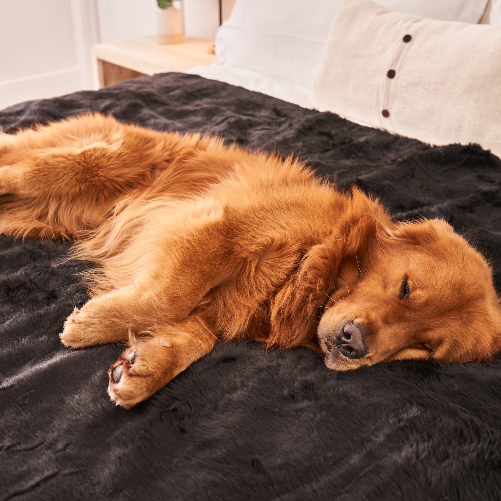 PupProtector™ Summer Short Fur Waterproof Throw Blanket - Midnight Black Dog Blanket Paw.com
