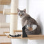 Dog Proof Cat Feeder - Wall-Mounted - Raised Cat Hammock Catastrophic Creations