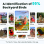 Birdfy Feeder with Solar Panel - Solar-Powered Smart Bird Feeder with Camera Bundle Birdfy
