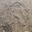 Premium Flake Soil Soil Shield Wall Exotics