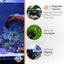 Flipper x Cichlid Bros Bundle Flipper Aquarium Products