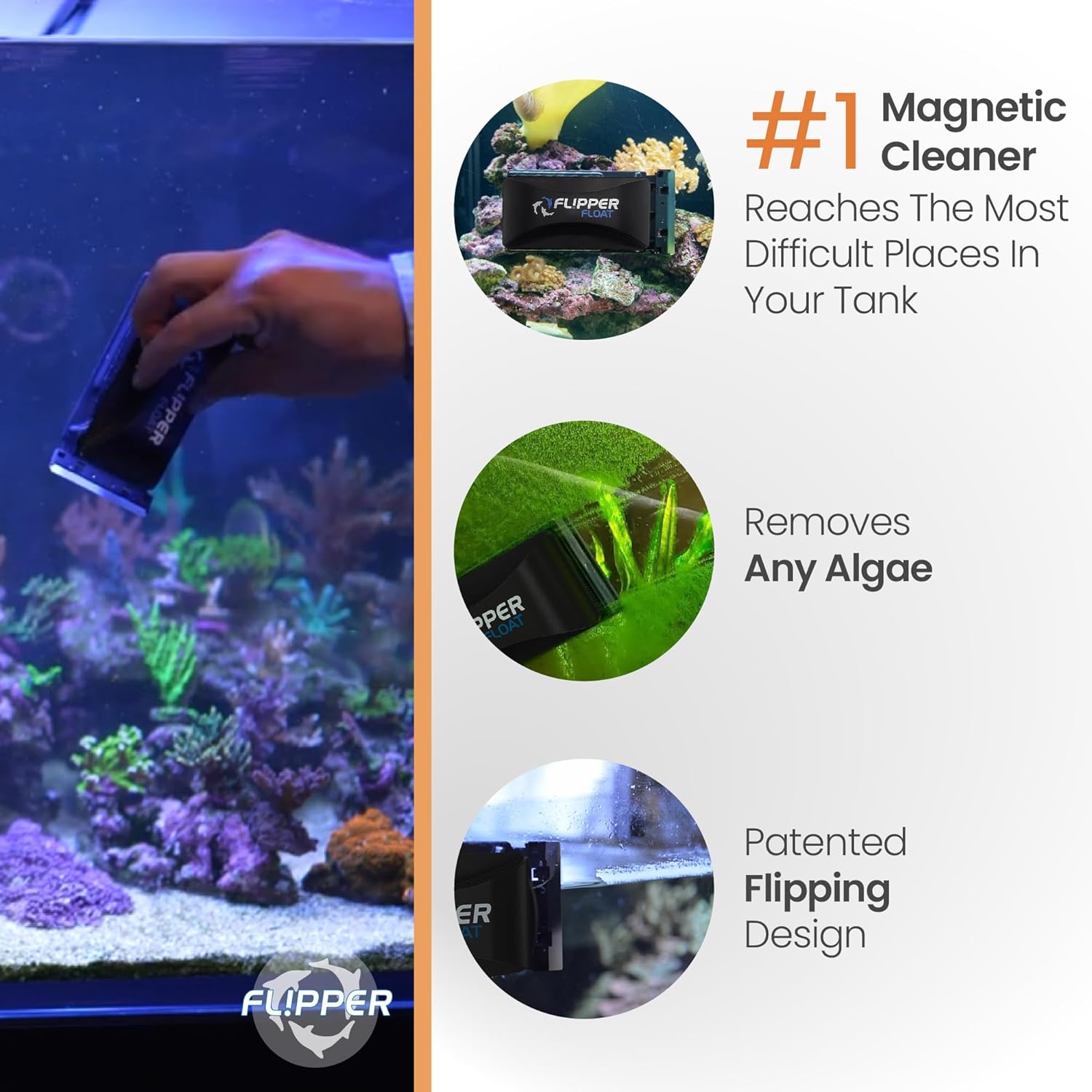 Flipper x Cichlid Bros Bundle Flipper Aquarium Products