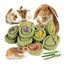 Natural Timothy Hay and Flowers Teething Toys: Suitable For Hamsters, Rabbits, Mice And Other Small Animals rabbit treat Dahlia Pets
