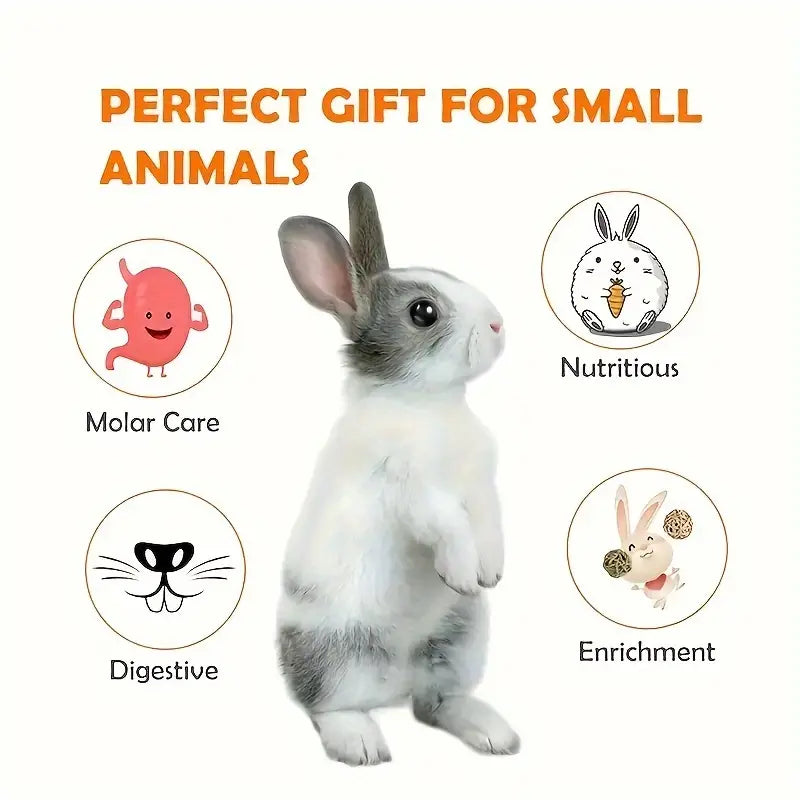 Natural Timothy Hay and Flowers Teething Toys: Suitable For Hamsters, Rabbits, Mice And Other Small Animals rabbit treat Dahlia Pets