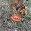Bottle Top Flyer Rubber Frisbee for Dogs | Orange | Vet Approved | USA Made Rubber Dog Toys SodaPup/True Dogs, LLC