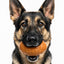 Football Dog Chew Toy & Treat Dispenser - USA Made | SodaPup Rubber Dog Toys SodaPup/True Dogs, LLC