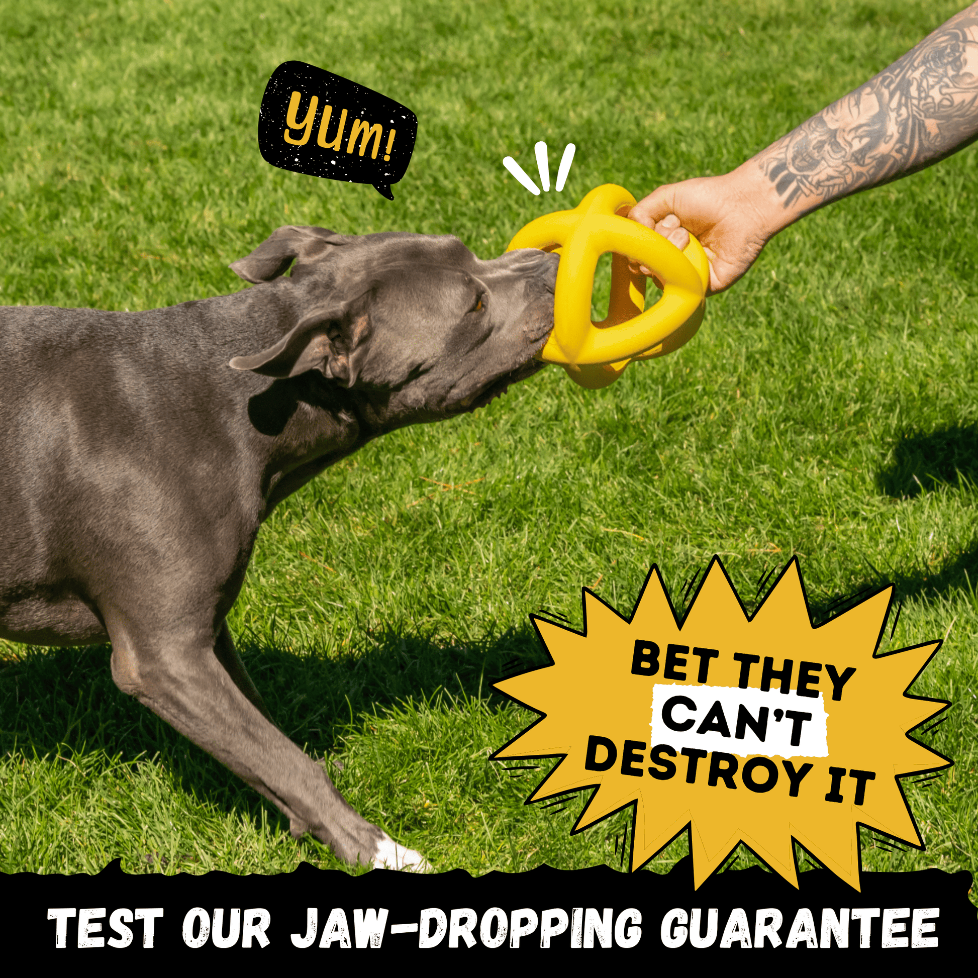 Giant Halo Ball™ Monster K9 Dog Toys