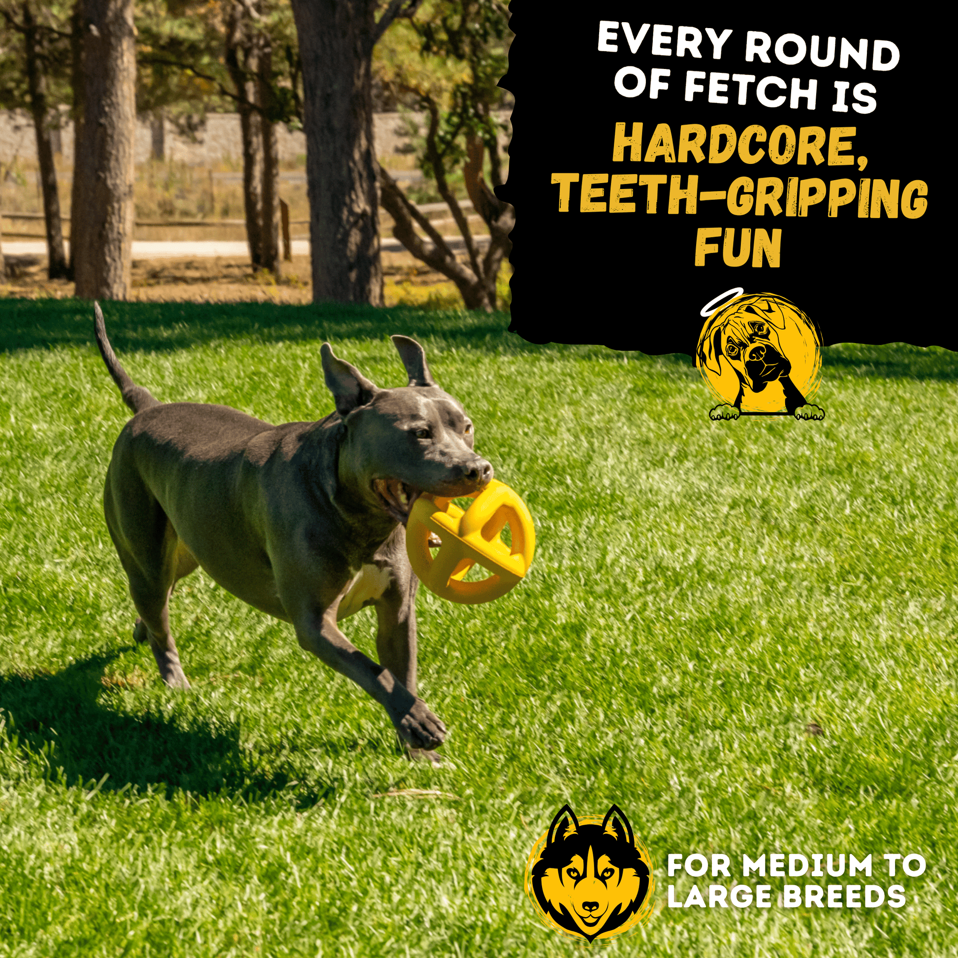 Giant Halo Ball™ Monster K9 Dog Toys