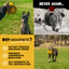 Giant Halo Ball™ Monster K9 Dog Toys