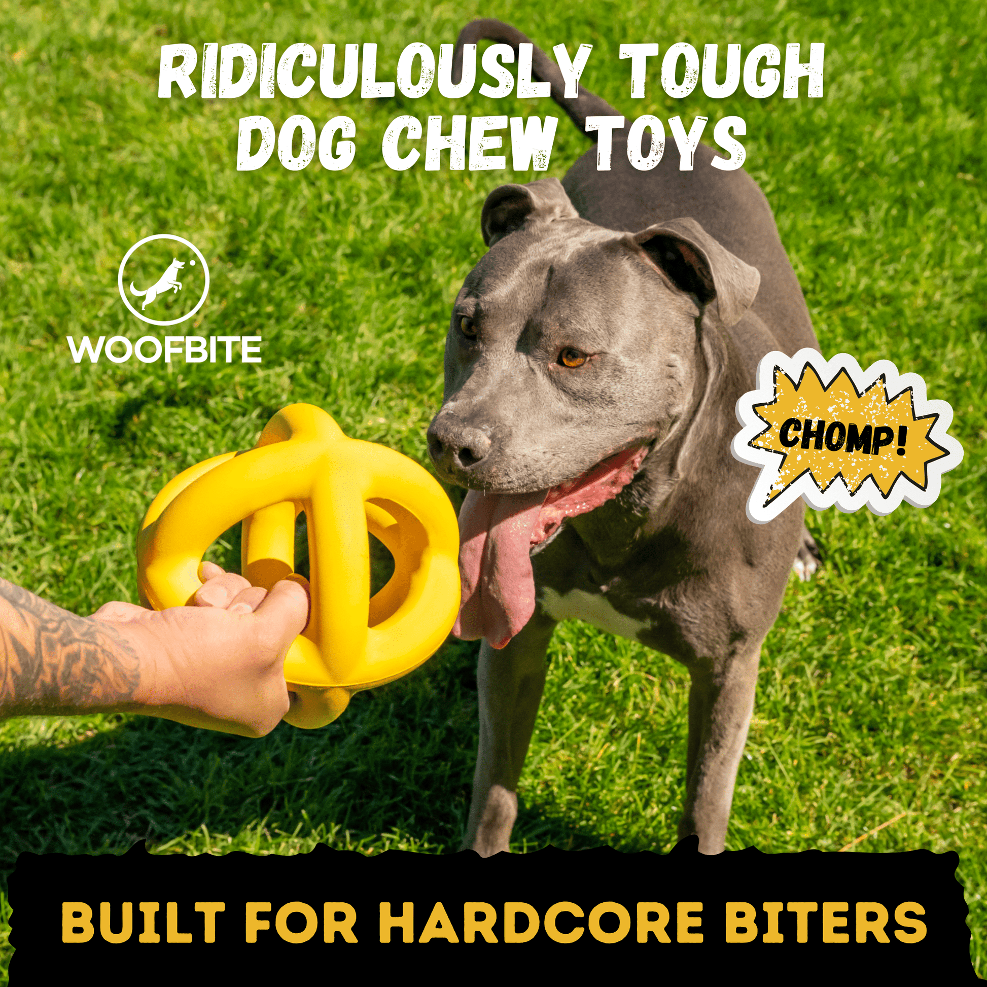 Giant Halo Ball™ Monster K9 Dog Toys