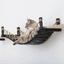 Double Cat Hammock and Climbing Bridge Combo Cat Bridge Catastrophic Creations